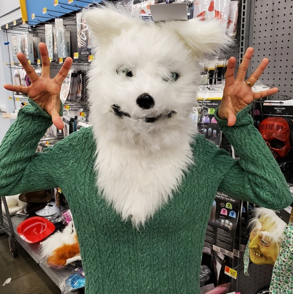 Meet your Posher, Thiha - Picture 1 of 1